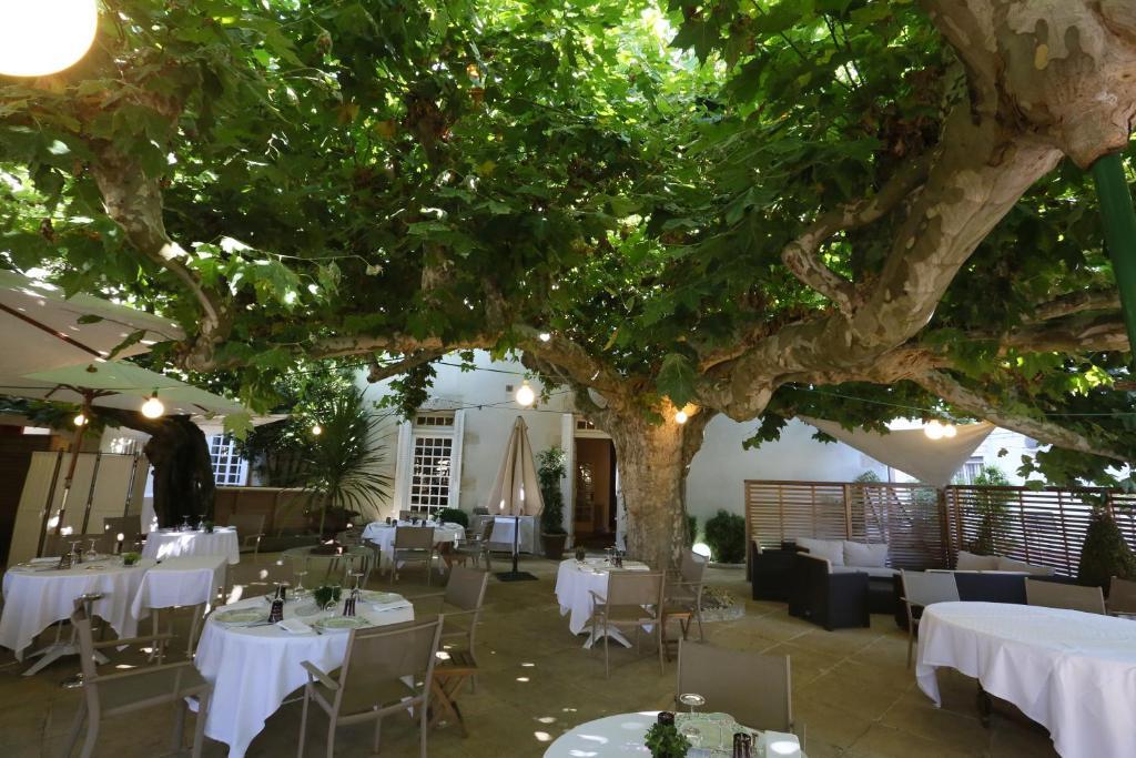 Logis Hotel - Restaurant Maison Claude Darroze Langon  Eksteriør bilde